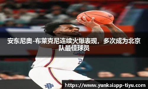 云开体育