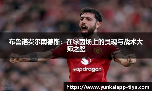 kaiyun云开全站